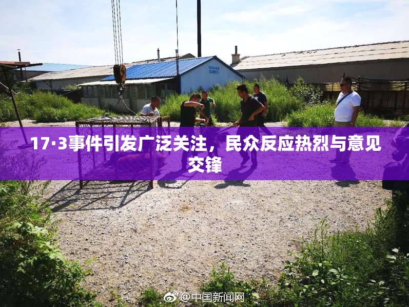 17·3事件引发广泛关注，民众反应热烈与意见交锋