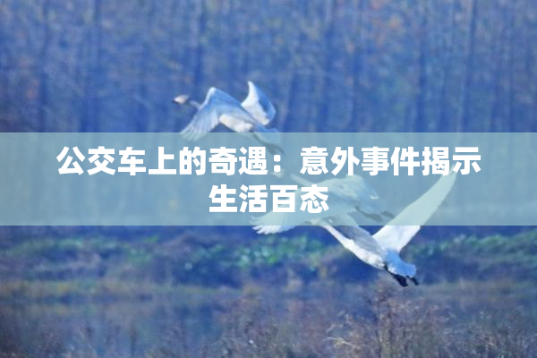 公交车上的奇遇：意外事件揭示生活百态