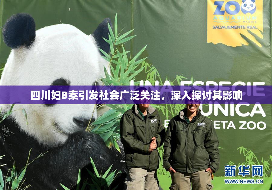 四川妇B案引发社会广泛关注，深入探讨其影响