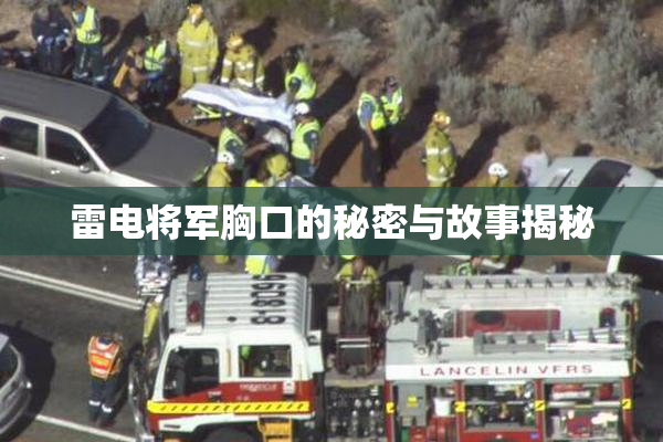 雷电将军胸口的秘密与故事揭秘
