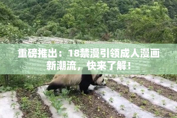 重磅推出：18禁漫引领成人漫画新潮流，快来了解！