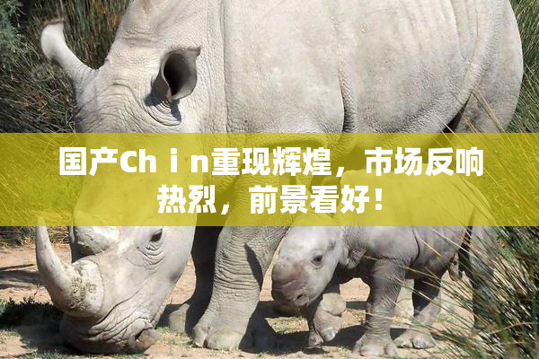 国产Chⅰn重现辉煌，市场反响热烈，前景看好！
