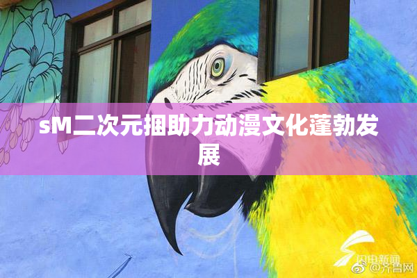 sM二次元捆助力动漫文化蓬勃发展