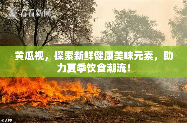 黄瓜视，探索新鲜健康美味元素，助力夏季饮食潮流！