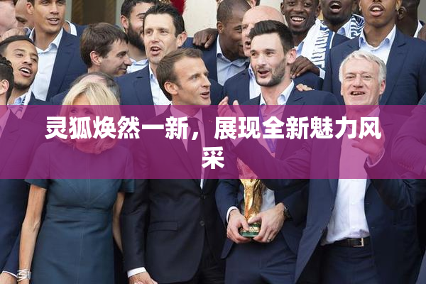 灵狐焕然一新，展现全新魅力风采