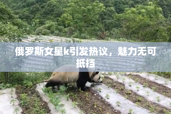 俄罗斯女星k引发热议，魅力无可抵挡