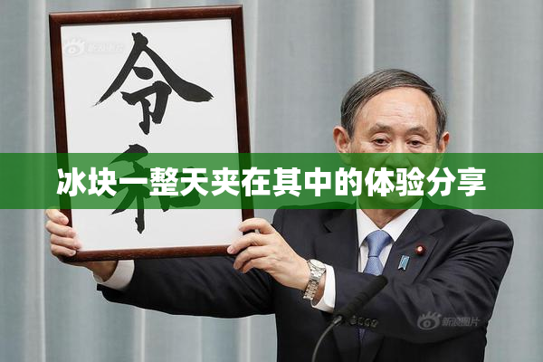 冰块一整天夹在其中的体验分享