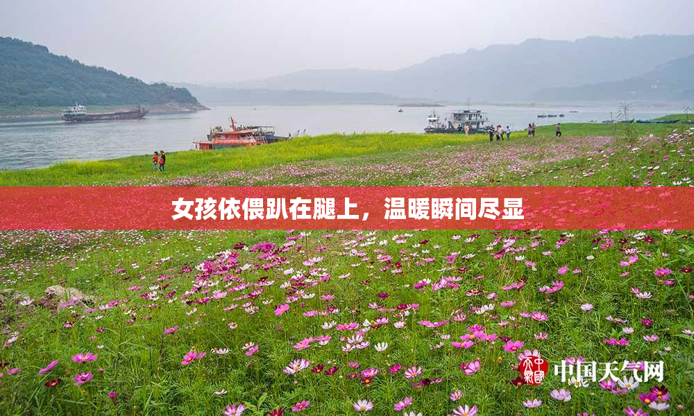 女孩依偎趴在腿上，温暖瞬间尽显