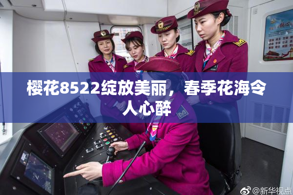 樱花8522绽放美丽，春季花海令人心醉