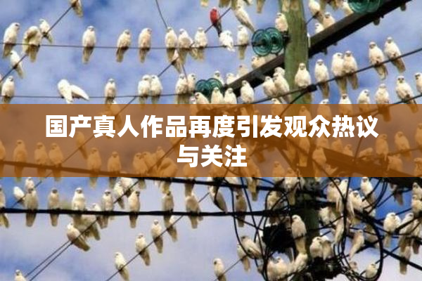 国产真人作品再度引发观众热议与关注