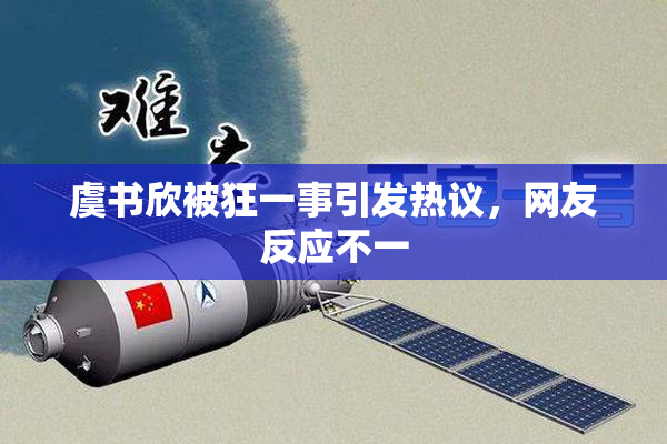 虞书欣被狂一事引发热议，网友反应不一