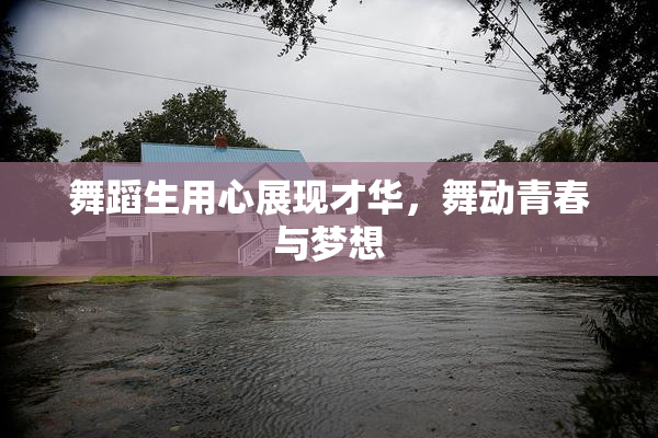 舞蹈生用心展现才华，舞动青春与梦想