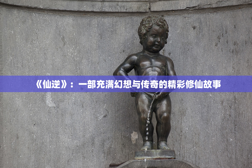 《仙逆》：一部充满幻想与传奇的精彩修仙故事