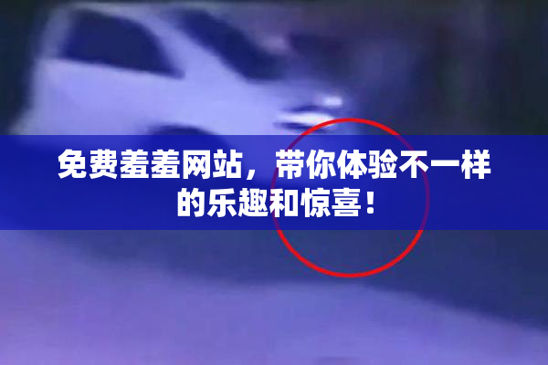免费羞羞网站，带你体验不一样的乐趣和惊喜！