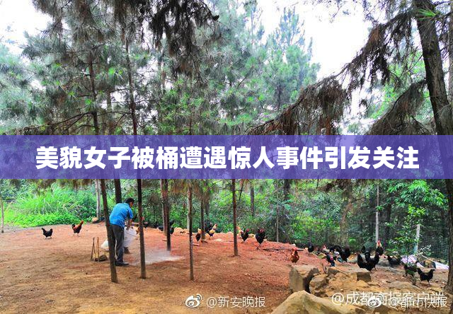 美貌女子被桶遭遇惊人事件引发关注
