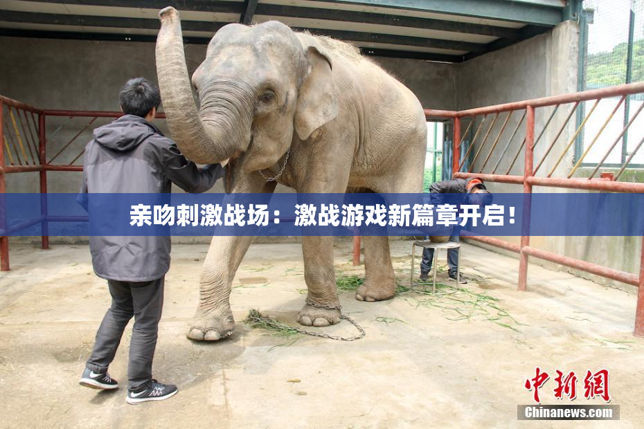 亲吻刺激战场：激战游戏新篇章开启！