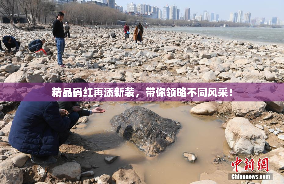 精品码红再添新装，带你领略不同风采！