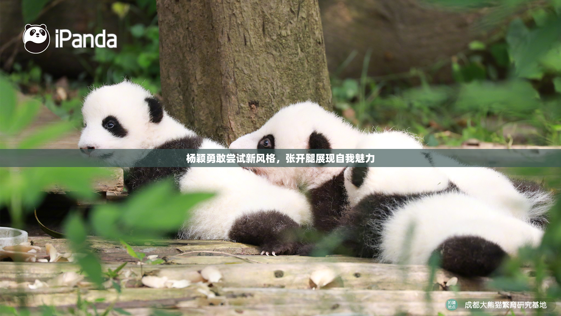 杨颖勇敢尝试新风格，张开腿展现自我魅力