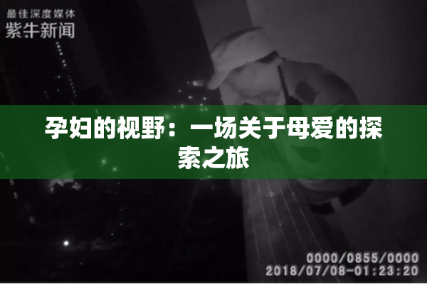 孕妇的视野：一场关于母爱的探索之旅