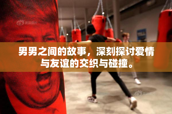 男男之间的故事，深刻探讨爱情与友谊的交织与碰撞。