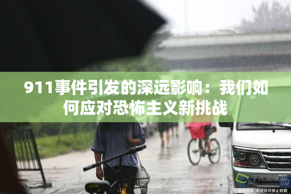 911事件引发的深远影响：我们如何应对恐怖主义新挑战