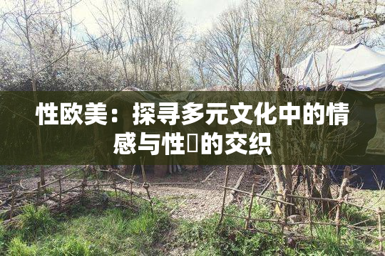 性欧美：探寻多元文化中的情感与性愛的交织