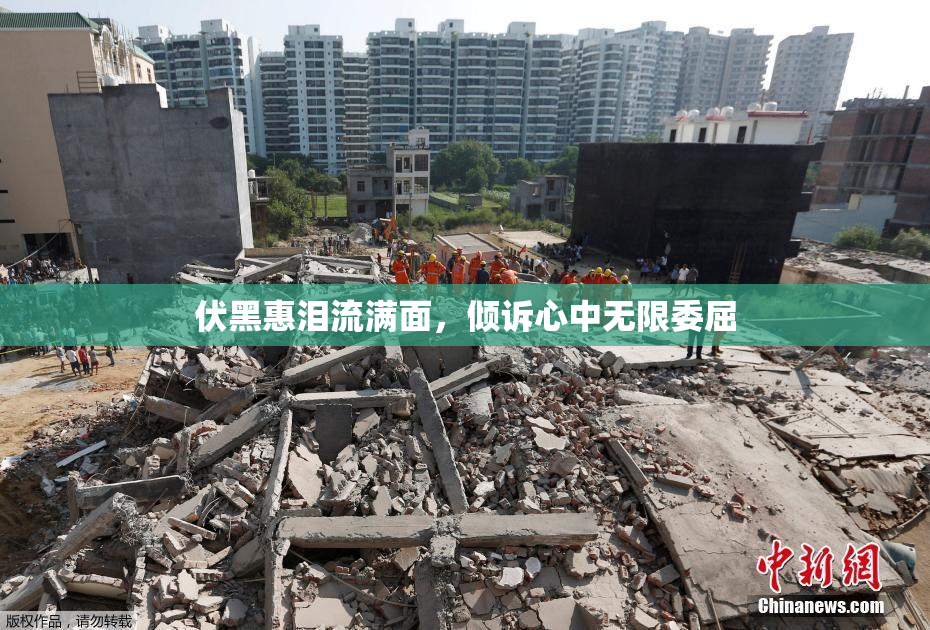 伏黑惠泪流满面，倾诉心中无限委屈