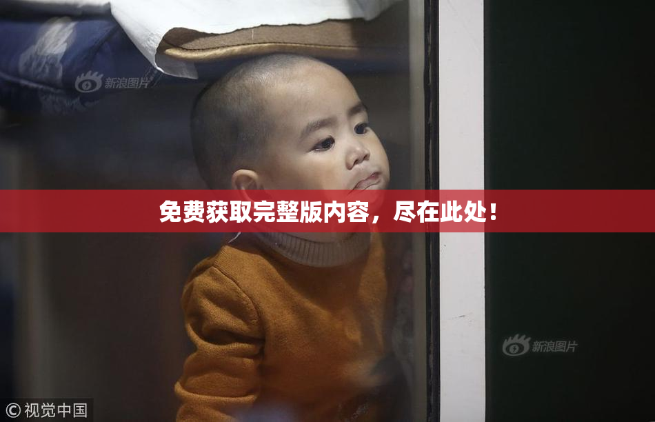 免费获取完整版内容，尽在此处！