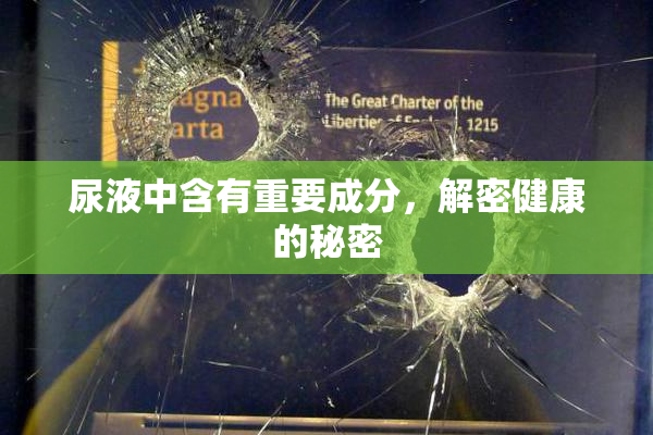 尿液中含有重要成分，解密健康的秘密