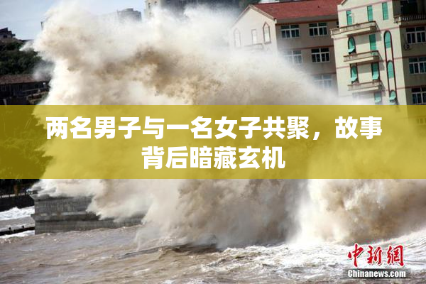 两名男子与一名女子共聚，故事背后暗藏玄机