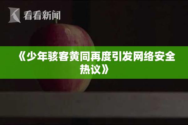《少年骇客黄同再度引发网络安全热议》