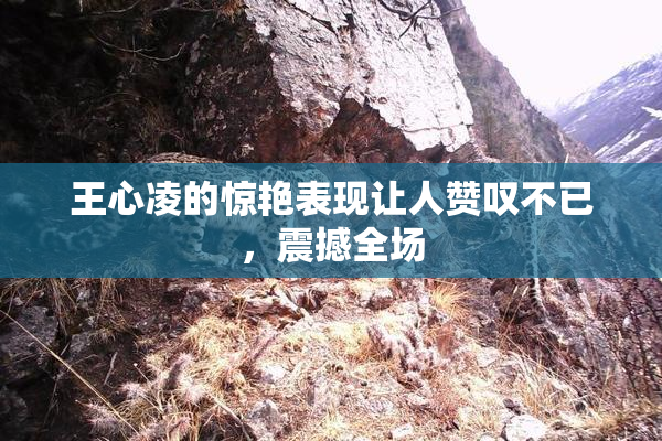 王心凌的惊艳表现让人赞叹不已，震撼全场