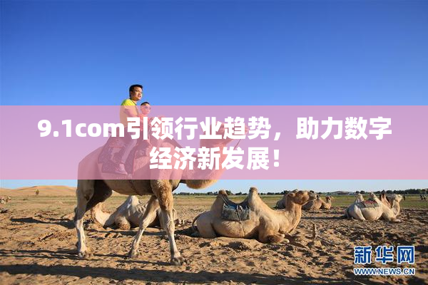 9.1com引领行业趋势，助力数字经济新发展！