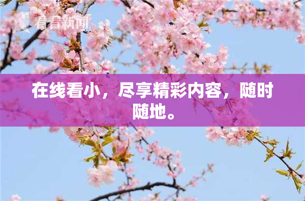 在线看小，尽享精彩内容，随时随地。