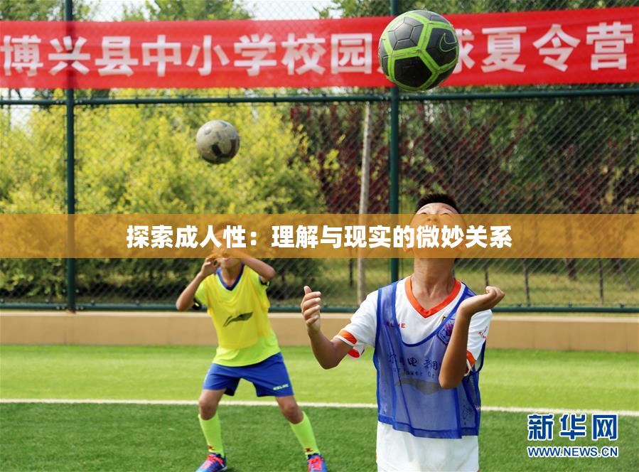 探索成人性：理解与现实的微妙关系