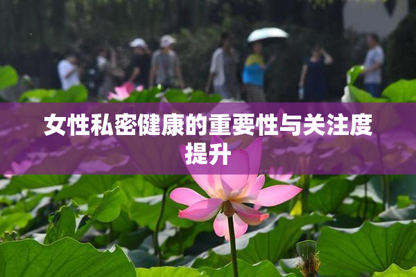 女性私密健康的重要性与关注度提升