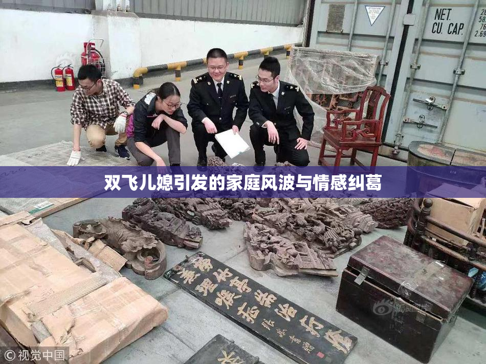 双飞儿媳引发的家庭风波与情感纠葛