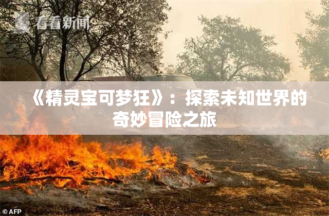 《精灵宝可梦狂》：探索未知世界的奇妙冒险之旅