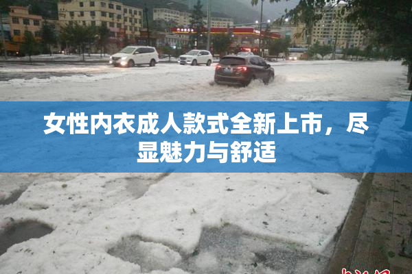 女性内衣成人款式全新上市，尽显魅力与舒适