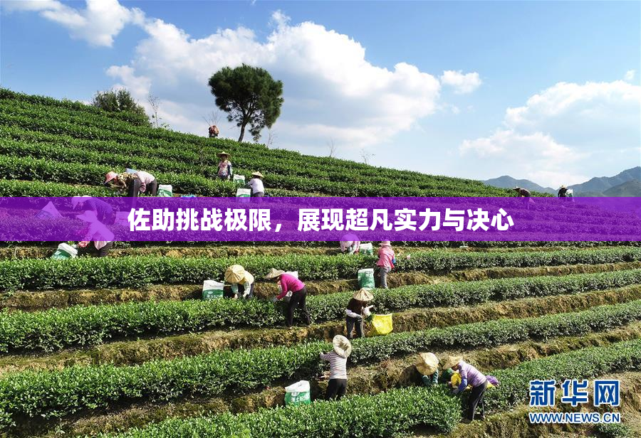 佐助挑战极限，展现超凡实力与决心