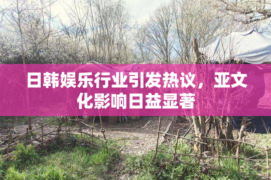 日韩娱乐行业引发热议，亚文化影响日益显著