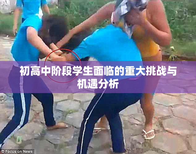初高中阶段学生面临的重大挑战与机遇分析