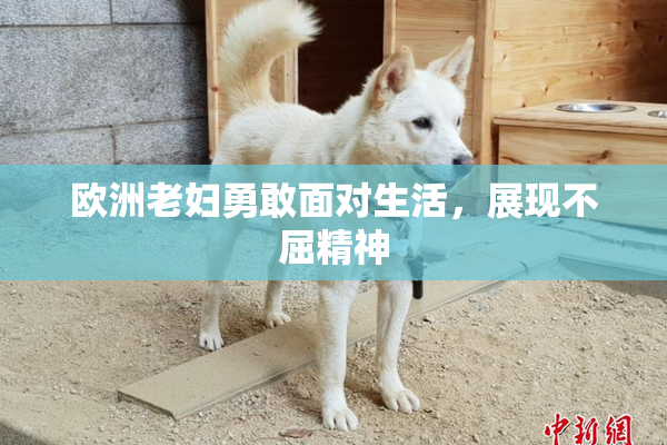 欧洲老妇勇敢面对生活，展现不屈精神