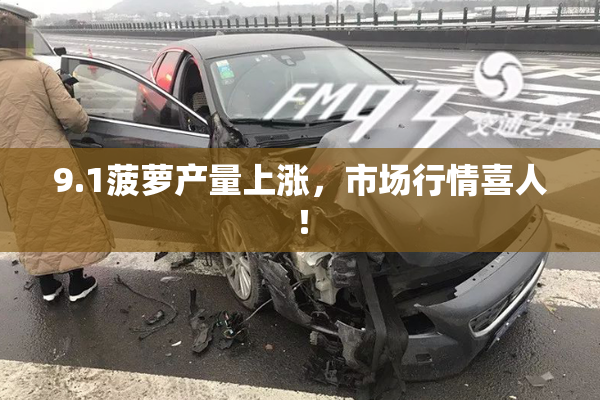 9.1菠萝产量上涨，市场行情喜人！