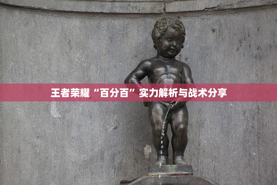 王者荣耀“百分百”实力解析与战术分享