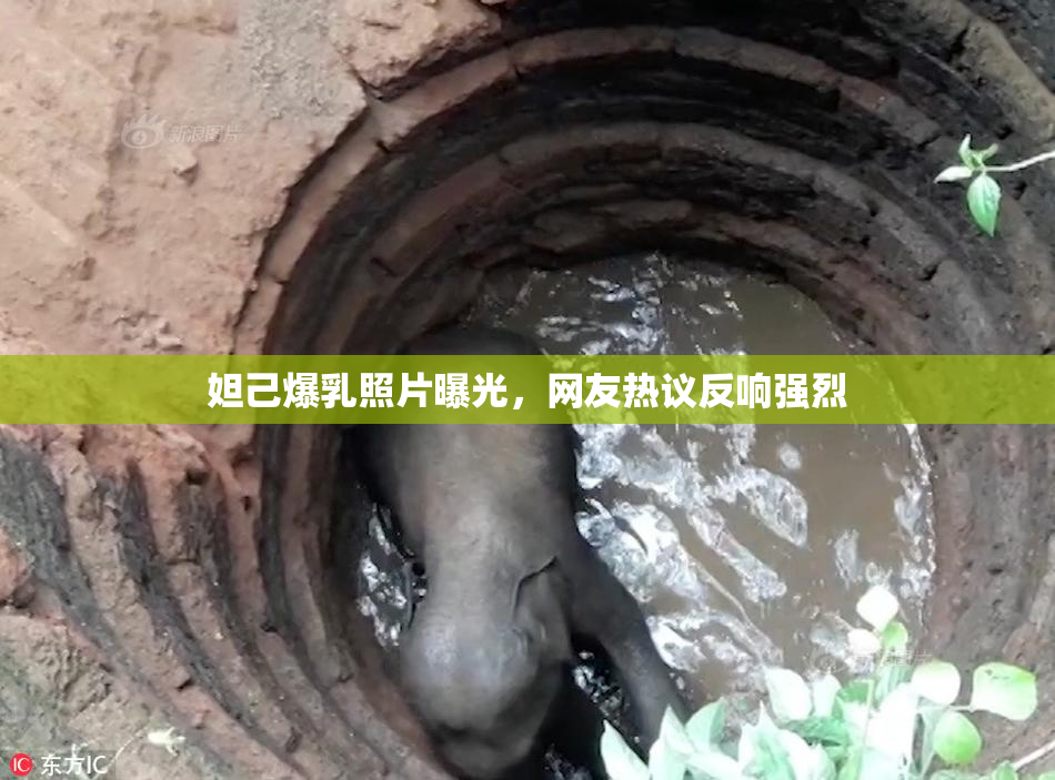 妲己爆乳照片曝光，网友热议反响强烈