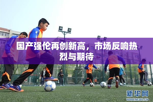 国产强伦再创新高，市场反响热烈与期待