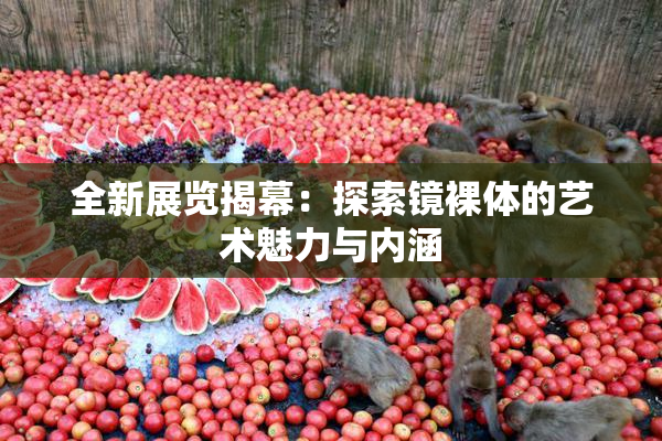 全新展览揭幕：探索镜裸体的艺术魅力与内涵