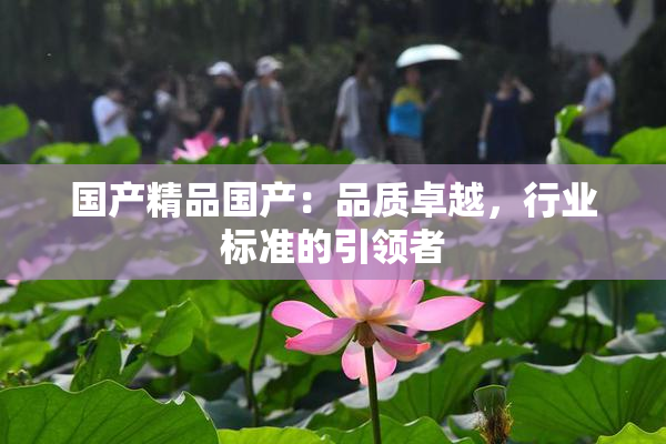 国产精品国产：品质卓越，行业标准的引领者
