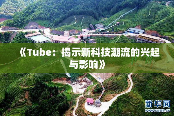 《Tube：揭示新科技潮流的兴起与影响》